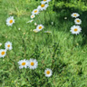 Meet your Posher, Arianne